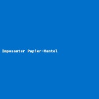 Imposanter Papier-Mantel