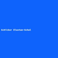 Schicker Elastan-Schal